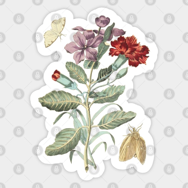 Flowers and Moths Vintage Botanical Illustration Sticker by Biophilia